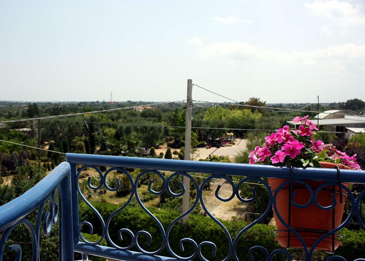 Patty Green House Castellana Grotte Luaran gambar