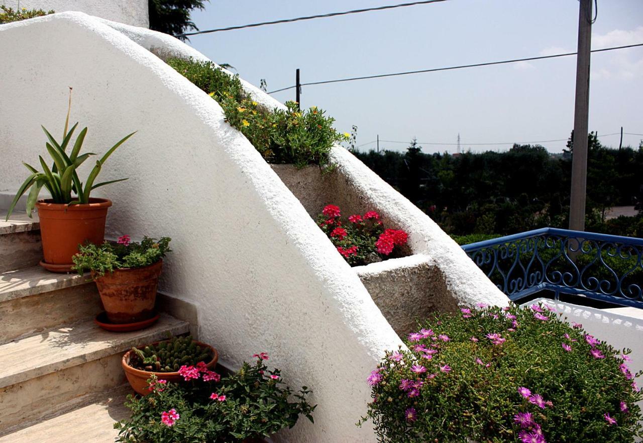 Patty Green House Castellana Grotte Luaran gambar